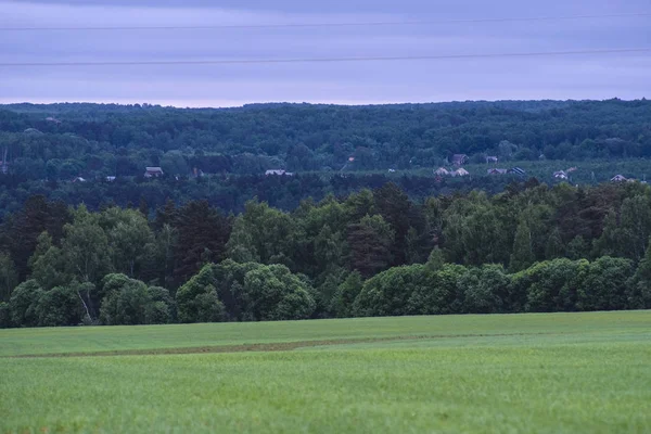 Fältet Träd Och Molniga Himlen — Stockfoto