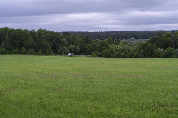 Veld Bomen Bewolkte Hemel — Stockfoto