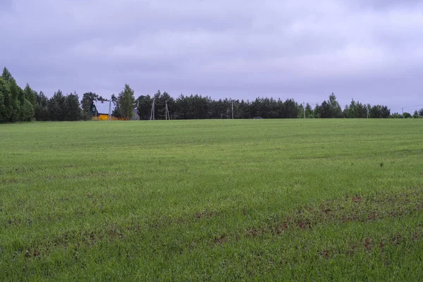 Alan, ağaçlar ve bulutlu gökyüzü