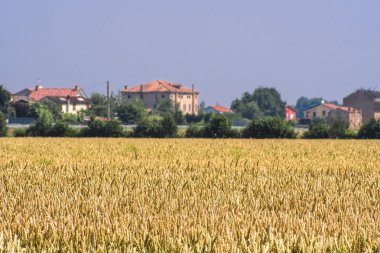 Rovigo, İtalya - Haziran, 5, 2018: Çiftlik civarında Rovigo, İtalya