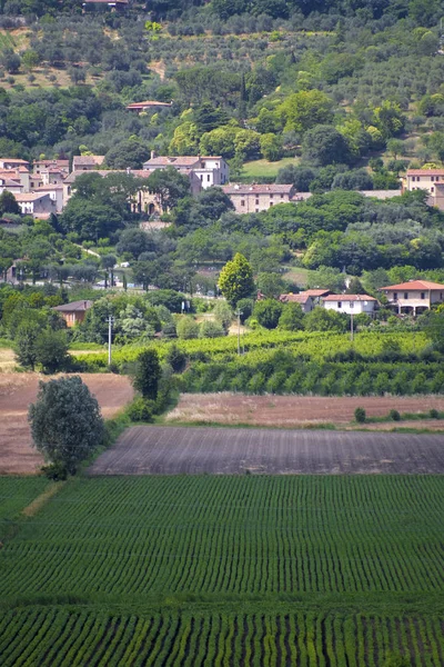 Venkovská Krajina Severní Italia — Stock fotografie