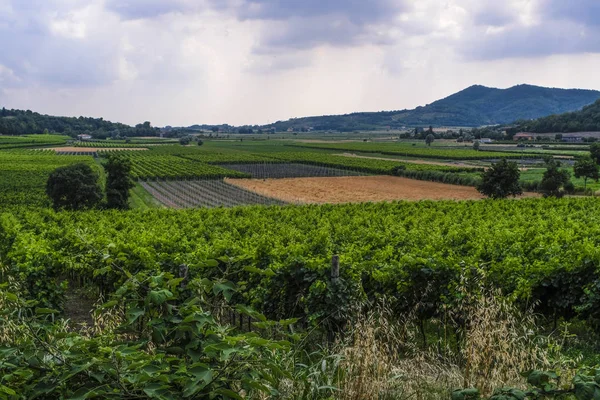 Country Landscape North Italia — Stock Photo, Image