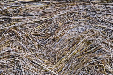 Saman görüntü ile arka plan