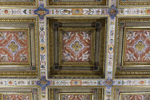 Флоренция Италия Июня 2017 Года Фреска Потолке Дворца Питти Флоренции — стоковое фото