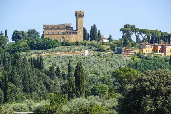 Florencie Itálie Června 2017 Panorama Florencie Itálie — Stock fotografie