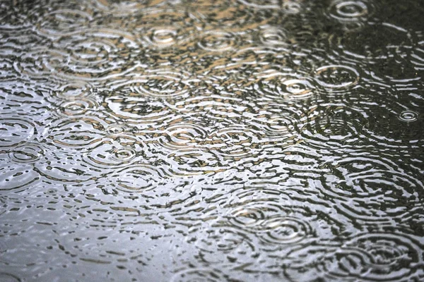 雨のしずくのイメージでバック グラウンド — ストック写真