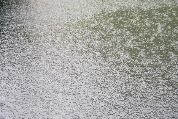 雨のしずくのイメージでバック グラウンド — ストック写真