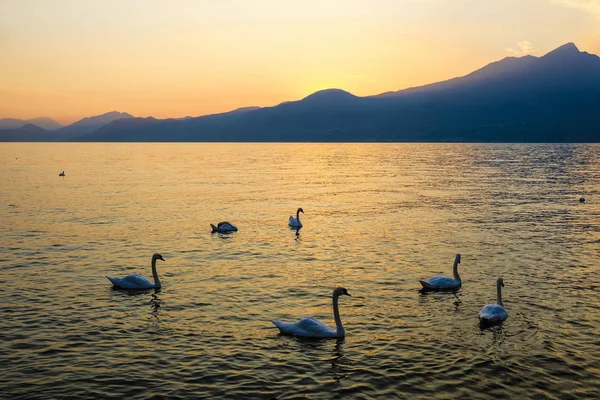 Puesta Sol Lago Garda Italia — Foto de Stock