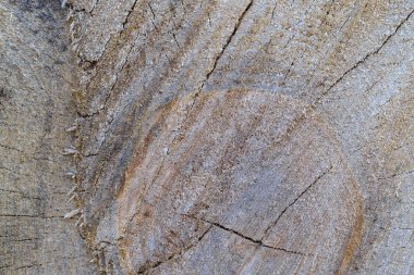 ahşap dokulu arka plan