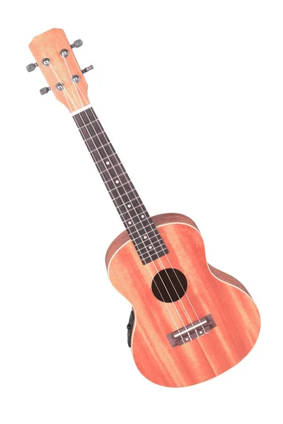 Das Bild Einer Hawaiianischen Gitarre Unter Dem Weißen Hintergrund — Stockfoto