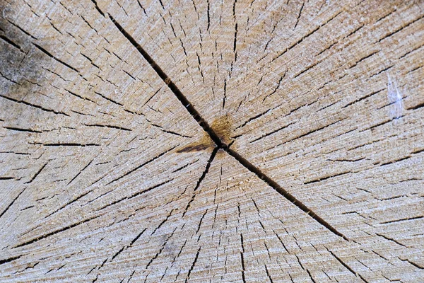 Hintergrund Mit Holzstruktur — Stockfoto