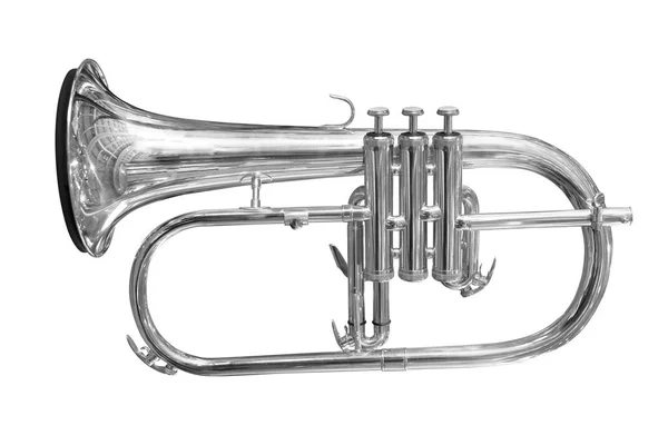 Bilden Trumpet Den Vita Bakgrunden — Stockfoto
