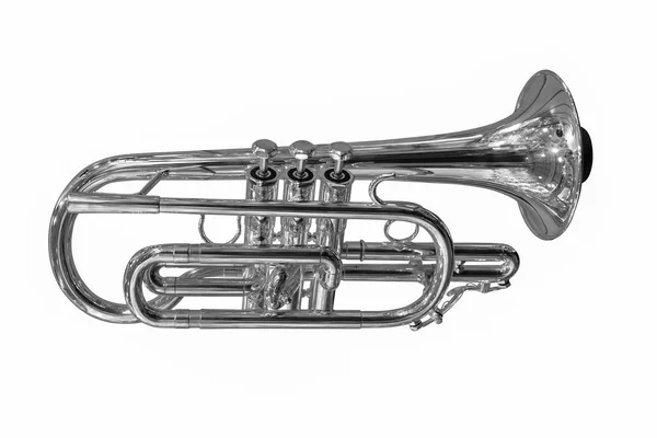 Image Trumpet White Background — Stock Photo, Image