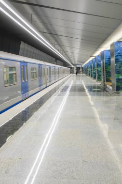 Moskova, Rusya - Ağustos, 31, 2018: Metro Tren İstasyonu Ozernaya, Moskova, Rusya