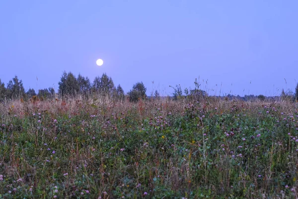 Landscape with the image of the moon hanging low over the field