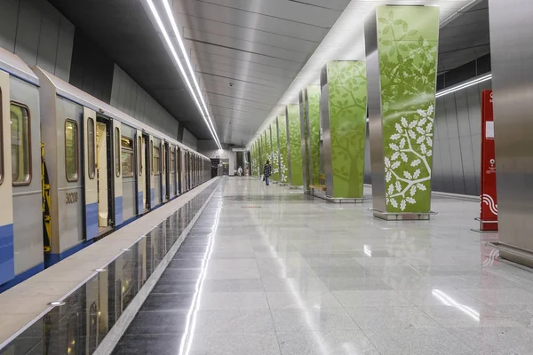 Moskova, Rusya - Ağustos, 31, 2018: Metro Tren İstasyonu Ramenky, Moskova, Rusya