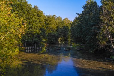 Orman Gölü görüntüsüyle manzara