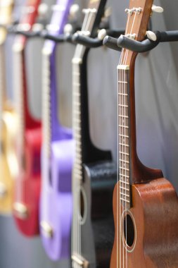 gitar resim