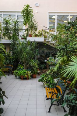 Bir iç bahçe görünümünü
