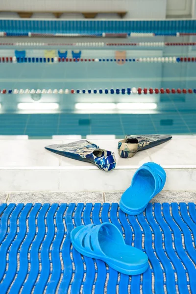 Funny Photo Which Track Flippers Water — Stock Photo, Image