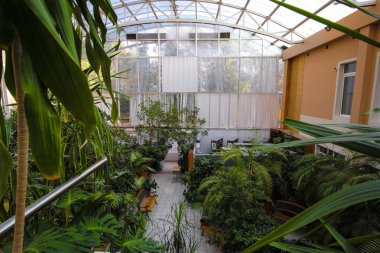 Moskova, Rusya - Eylül, 24, 2018: Moskova priver okulda bir iç bahçe görünümünü