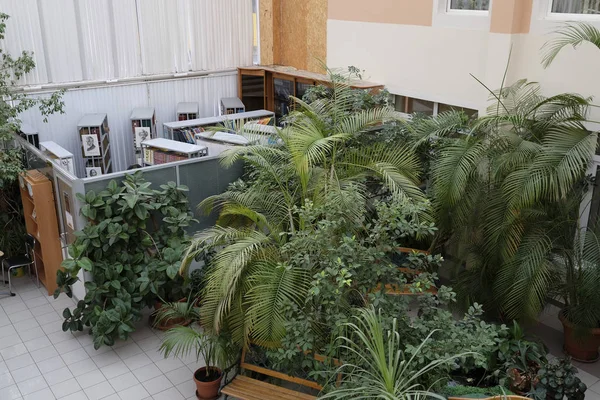 Moskwa Rosja Września 2018 Widok Wnętrza Ogrodu Moskwie Priver Szkoły — Zdjęcie stockowe