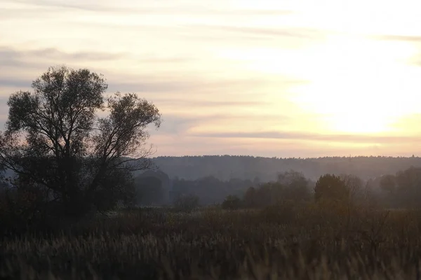 Paisaje Otoñal Atardecer —  Fotos de Stock