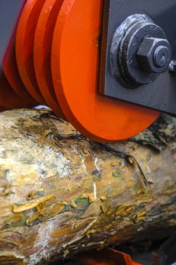 Bir ahşap makine çalışma görüntü