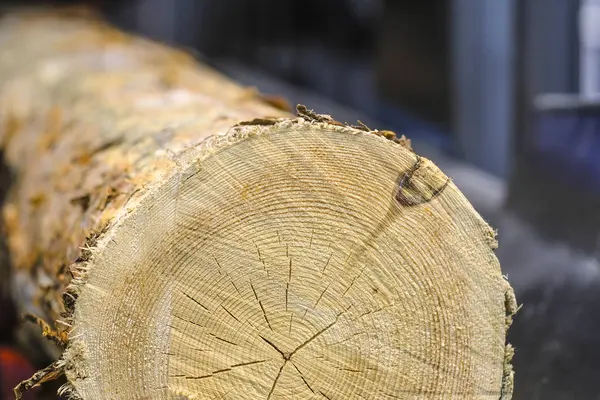 Image Wood Working Machine — Stock Photo, Image