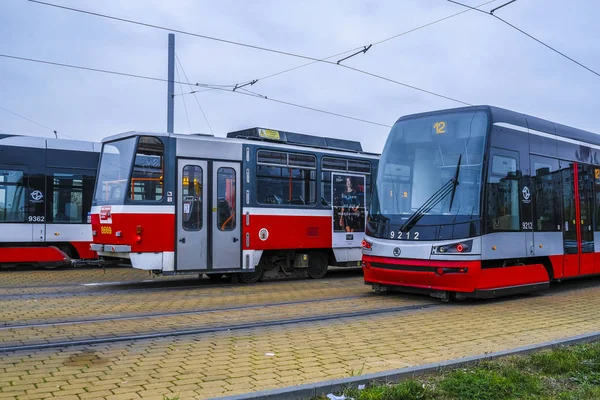 Praga Repubblica Ceca Novembre 2018 Tram Praga Principale Trasporto Pubblico — Foto Stock