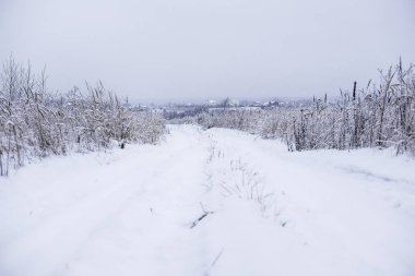 Bir kış yol görüntü ile manzara