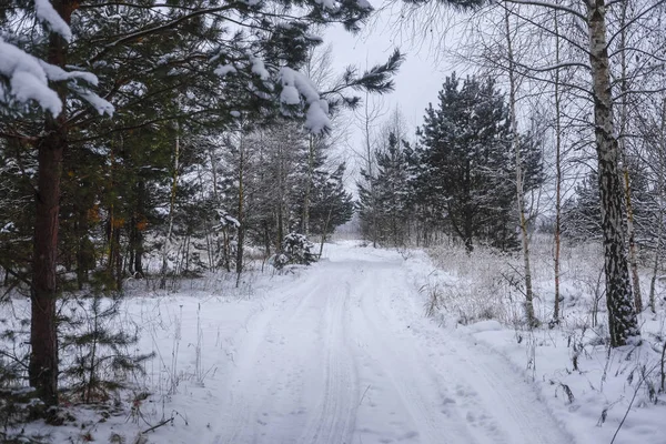 Paisaje Con Imagen Camino Invierno — Foto de Stock