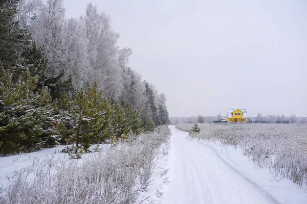 Пейзаж Изображением Зимней Дороги — стоковое фото