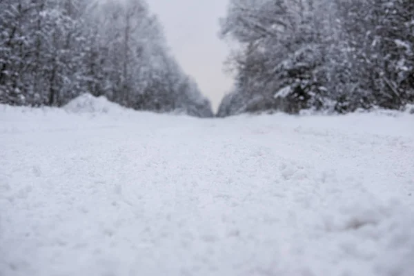 Paisaje Con Imagen Camino Invierno — Foto de Stock