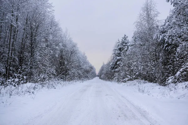 Paesaggio Con Immagine Una Strada Invernale — Foto Stock