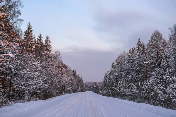 Bir kış yol görüntü ile manzara