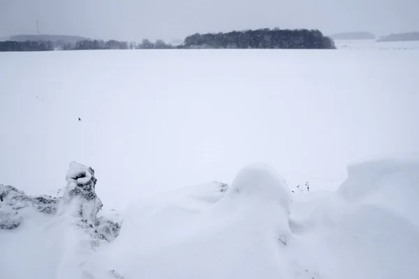 Образ Зимнего Поля — стоковое фото