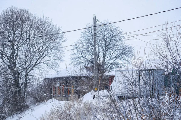 ロシア ザライスク Janyary 2019 降雪のザライスクに農村のロッジのイメージ — ストック写真