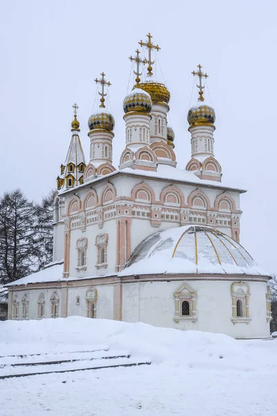 Ryazan Federacja Rosyjska Stycznia 2019 Krajobraz Wizerunkiem Riazań Kremla — Zdjęcie stockowe