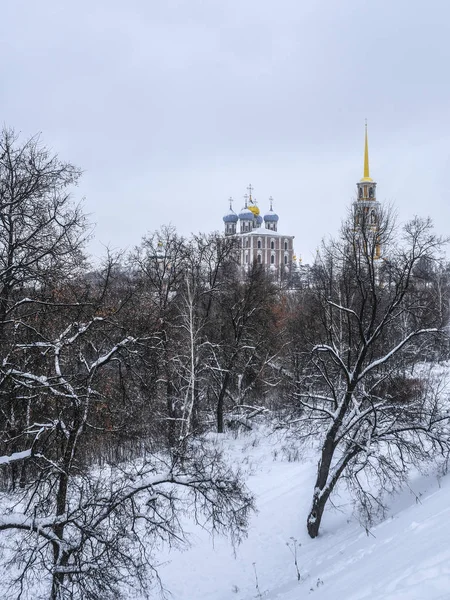 Рязань Россия Января 2019 Года Пейзаж Изображением Рязанского Кремля — стоковое фото