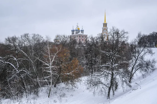 Rjazaň Rusko Ledna 2019 Krajina Obrazem Rjazaň Kremlu — Stock fotografie