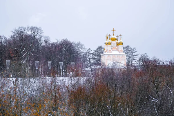 Рязань Російська Федерація Січня 2019 Краєвид Зображенням Рязань Кремль — стокове фото