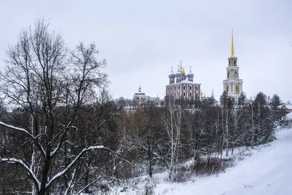 Ryazan, Rusya - Ocak, 5, 2019: peyzaj Ryazan Kremlin görüntü ile