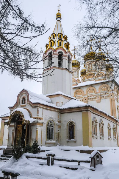 Ryazan Federacja Rosyjska Stycznia 2019 Krajobraz Wizerunkiem Riazań Kremla — Zdjęcie stockowe