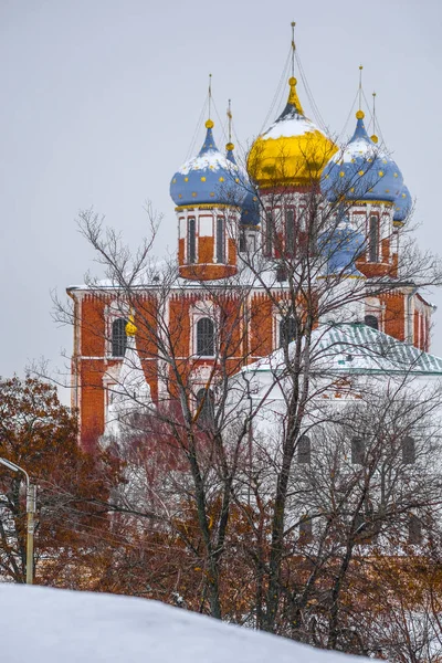 Rjasan Russland Januar 2019 Landschaft Mit Dem Bild Von Rjasan — Stockfoto