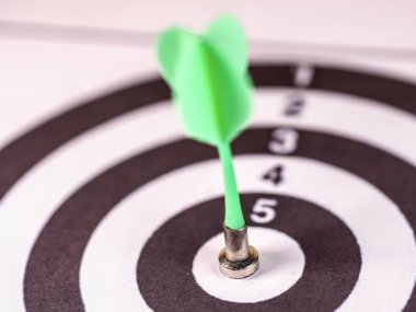 Dart hedef görüntü