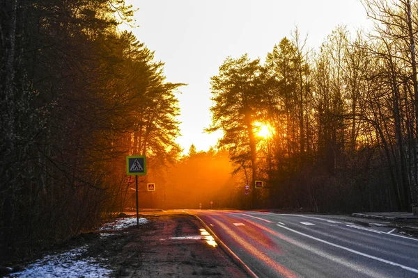 Country road at a spring at sunset in Moscow region
