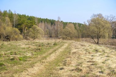 Rusya'da Tula bölgesinde Ülke yolu