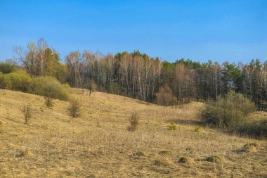 Gün batımında Rusya'nın Tula bölgesinde bahar kırsal görüntü ile Manzara