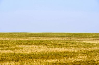 Alan görüntüsü ile duvar kağıdı